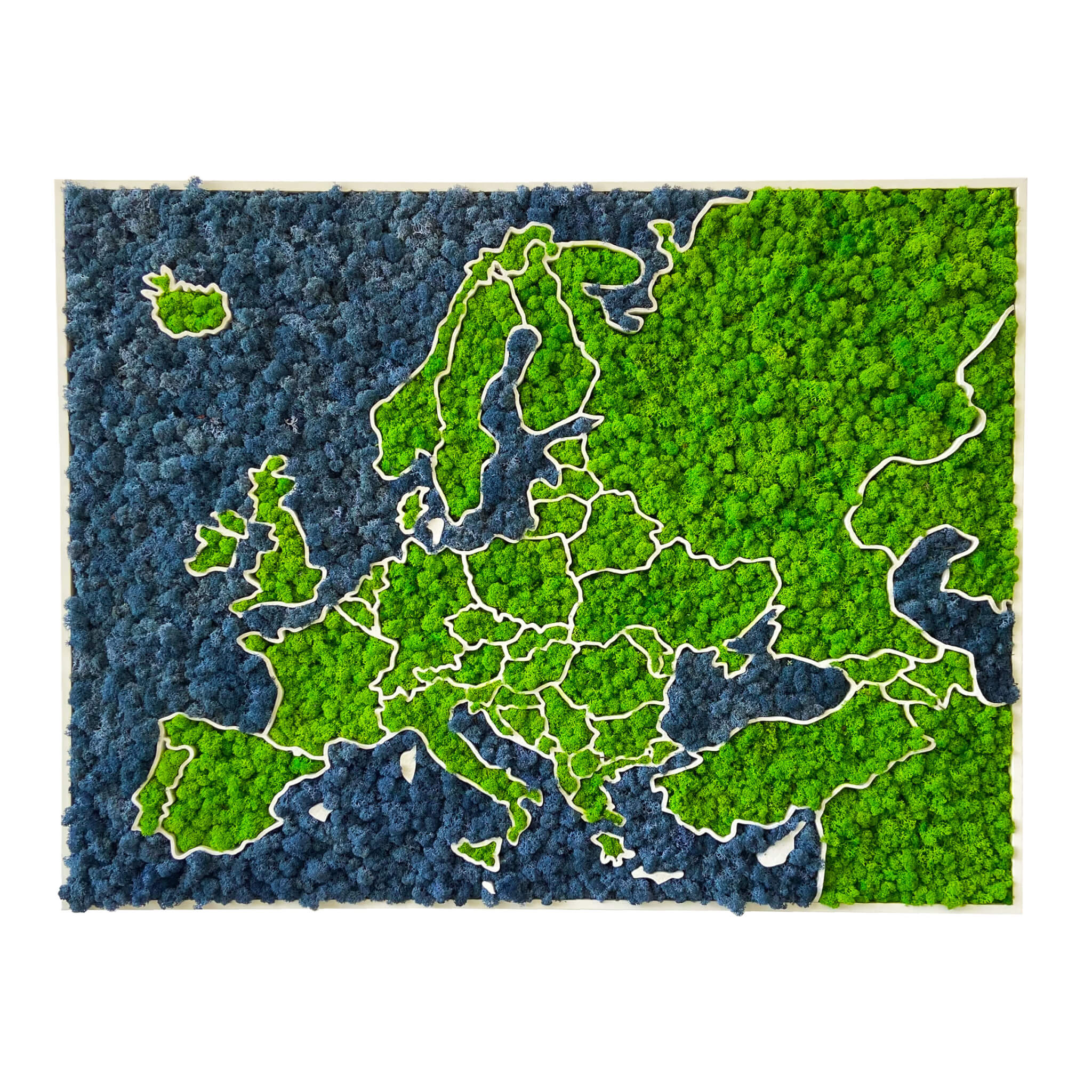 3D Europakarte aus Moos - organische Flechten
