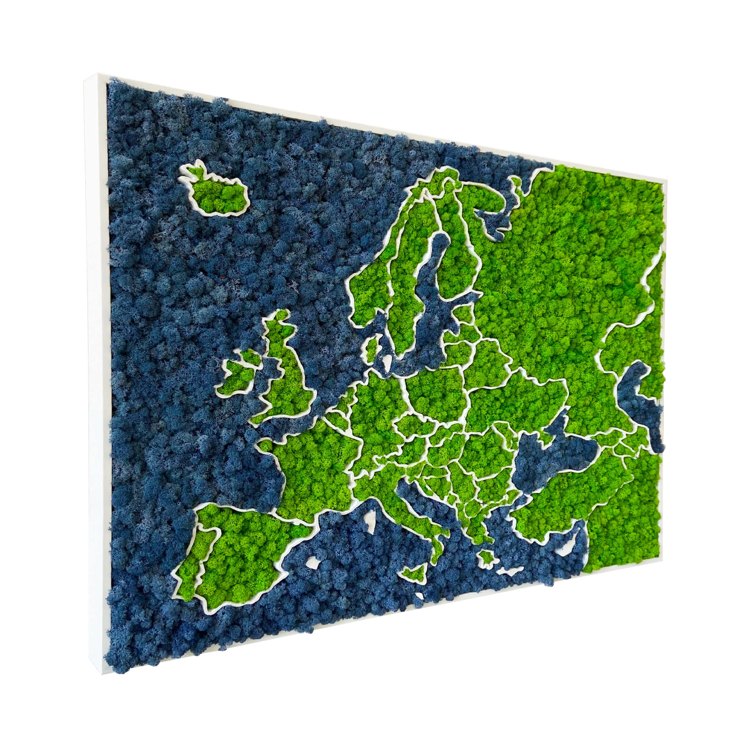 3D Europakarte aus Moos - organische Flechten